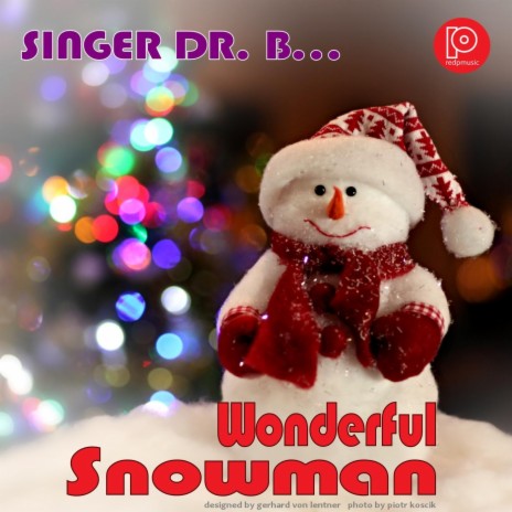 Wonderful Snowman | Boomplay Music