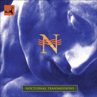 Nocturnal Transmissions