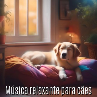Música relaxante para cães