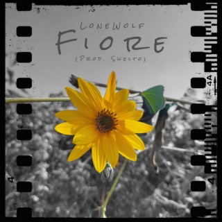 Fiore lyrics | Boomplay Music