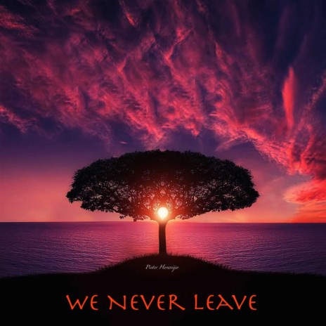 We Never Leave | Boomplay Music