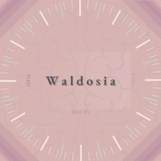 Waldosia ft. Miggy lyrics | Boomplay Music