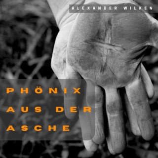 Phönix aus der Asche