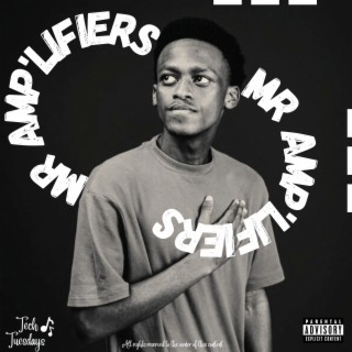 Mr Amp'lifiers