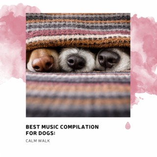 Best Music Compilation for Dogs: Calm Walk