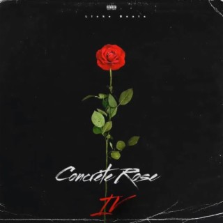Concrete Rose IV