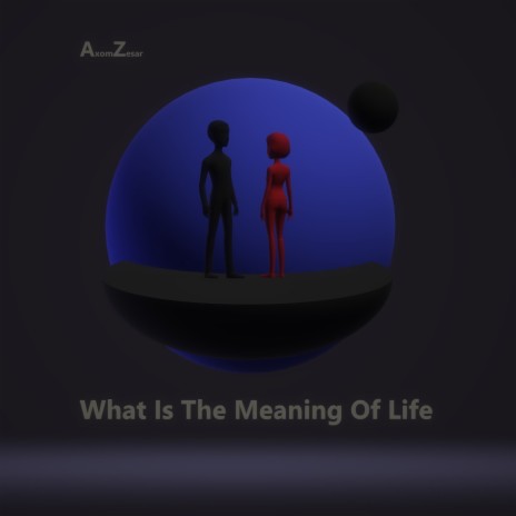 What Is The Meaning Of Life