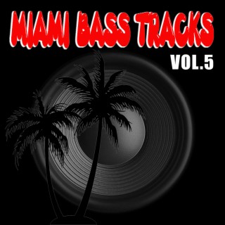 miami bass google music download miami bass google music download