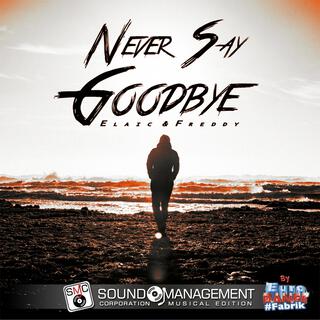 Never Say Goodbye (Euro Dance Fabrik)