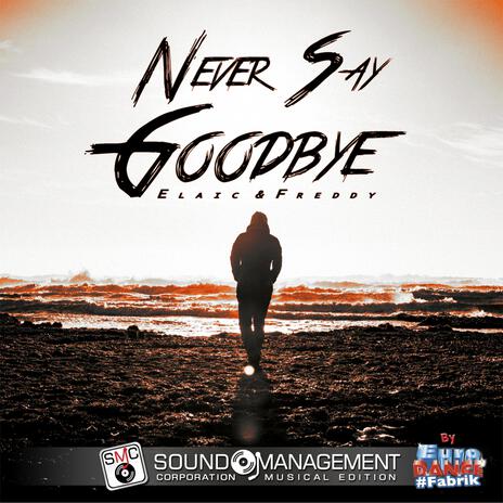 Never Say Goodbye ft. Freddy | Boomplay Music