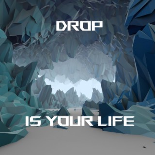 Drop Is Your Life