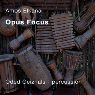 Opus Focus (Instrumental)