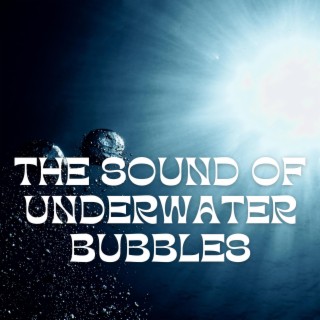 The Sound of Underwater Bubbles