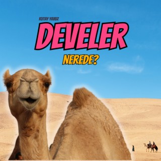 Develer Nerede?