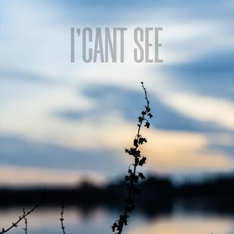 I'Cant See | Boomplay Music