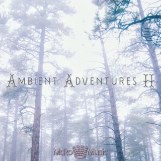 Ambient Adventures II