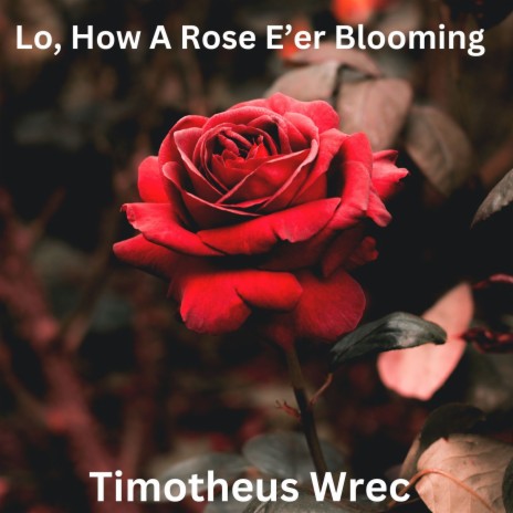 Lo, How a Rose E'er Blooming | Boomplay Music