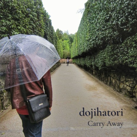 Carry Away | Boomplay Music