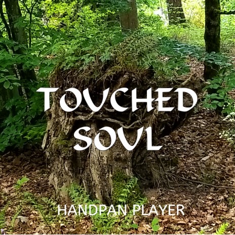 Touched Soul ft. Handpan Player & Peaceful Relaxing | Boomplay Music