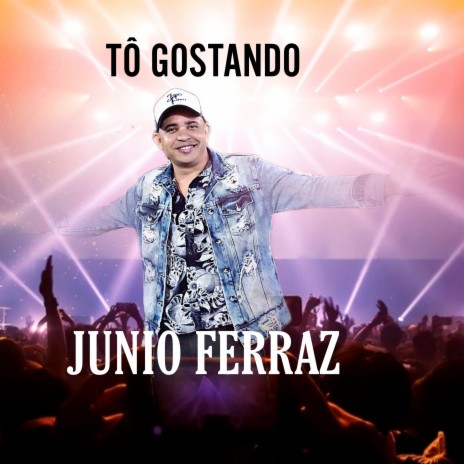 TÔ GOSTANDO | Boomplay Music