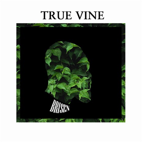 True Vine | Boomplay Music