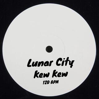 Lunar City