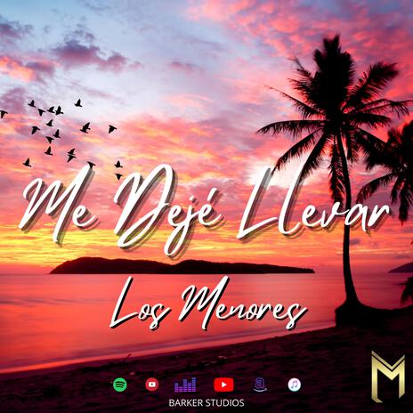 Me Dejé Llevar | Boomplay Music