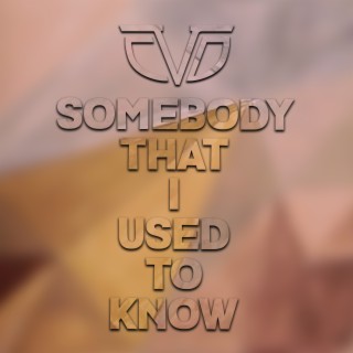 Somebody That I used To Know