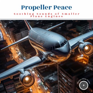 Propeller Peace: Soothing Sounds of Smaller Plane Engines