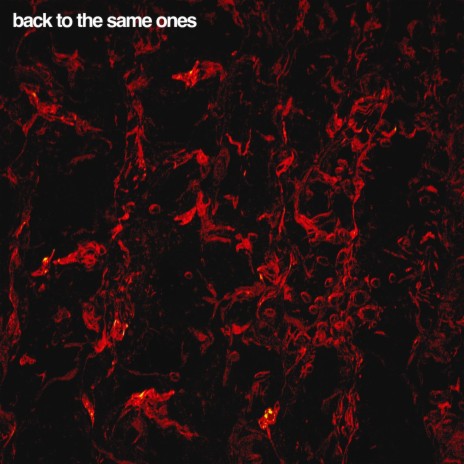 Back To The Same Ones | Boomplay Music
