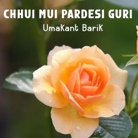 Chhui Mui Pardesi Guri | Boomplay Music