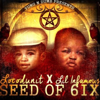 Seed of 6ix