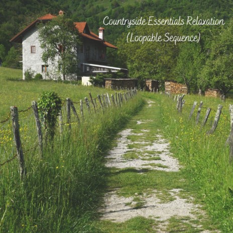 Countryside Essentials Relaxation (Loopable Sequence) | Boomplay Music