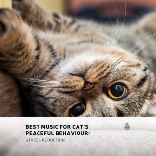 Best Music for Cat's Peaceful Behaviour: Stress Reduction