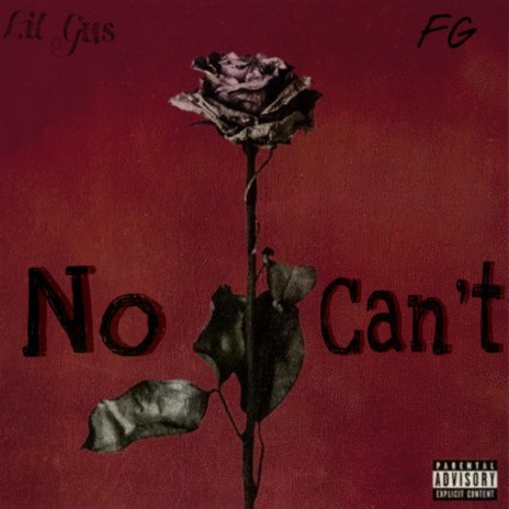 No i can't | Boomplay Music