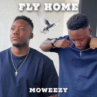 Fly Home lyrics | Boomplay Music