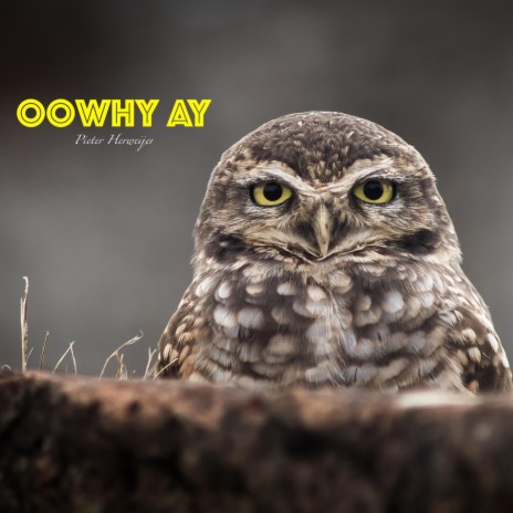 Oowhy Ay | Boomplay Music