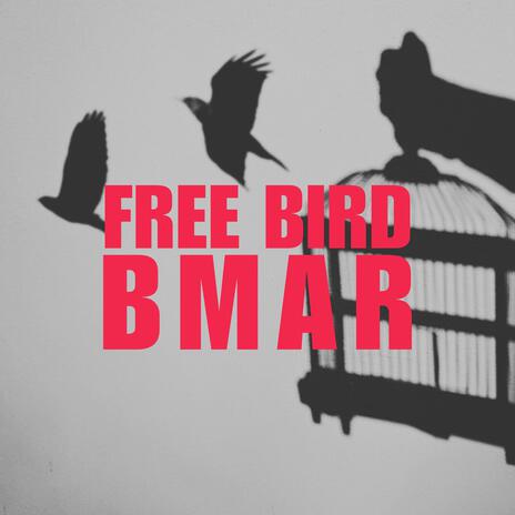 Free Bird | Boomplay Music