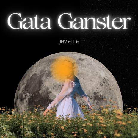 Gata Ganster | Boomplay Music