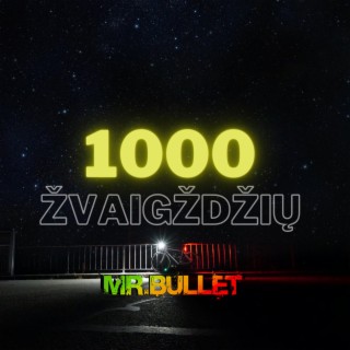 1000 ŽVAIGŽDŽIŲ