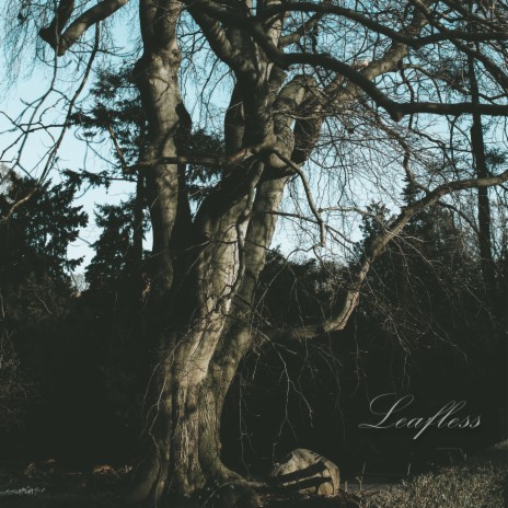 Leafless | Boomplay Music