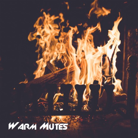 Warm Mutes | Boomplay Music