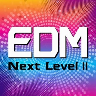 EDM Next Level Ⅱ