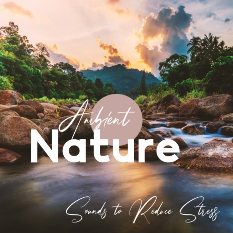 Working Out In Nature (Relaxing Flute) | Boomplay Music