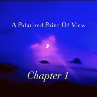 A Polarized Point of View (Chapter 1)