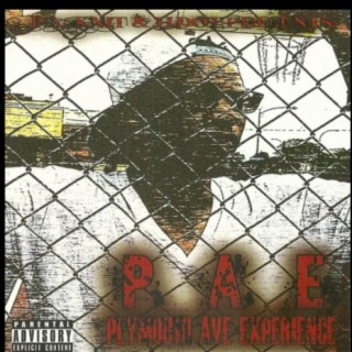 P. A. E. (Plymouth Ave Experience)