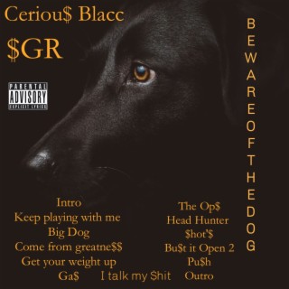 SGR Beware of the Dog