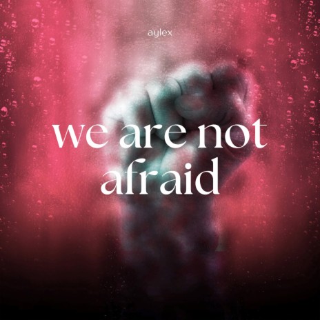 We Are Not Afraid | Boomplay Music