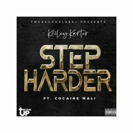 Step Harder ft. Cocaine Mali | Boomplay Music