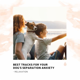Best Tracks For Your Dog's Separation Anxiety - Relaxation